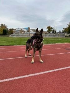 Picture 2 Christopher Trotz (JPEG)