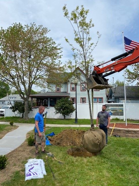Lowering the Tree Into the Prepared Hole